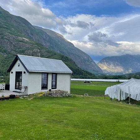 Jordeplegarden Holiday Home - Part Of A Farm - Two Buildings - Close To Flam Lærdalsøyri エクステリア 写真